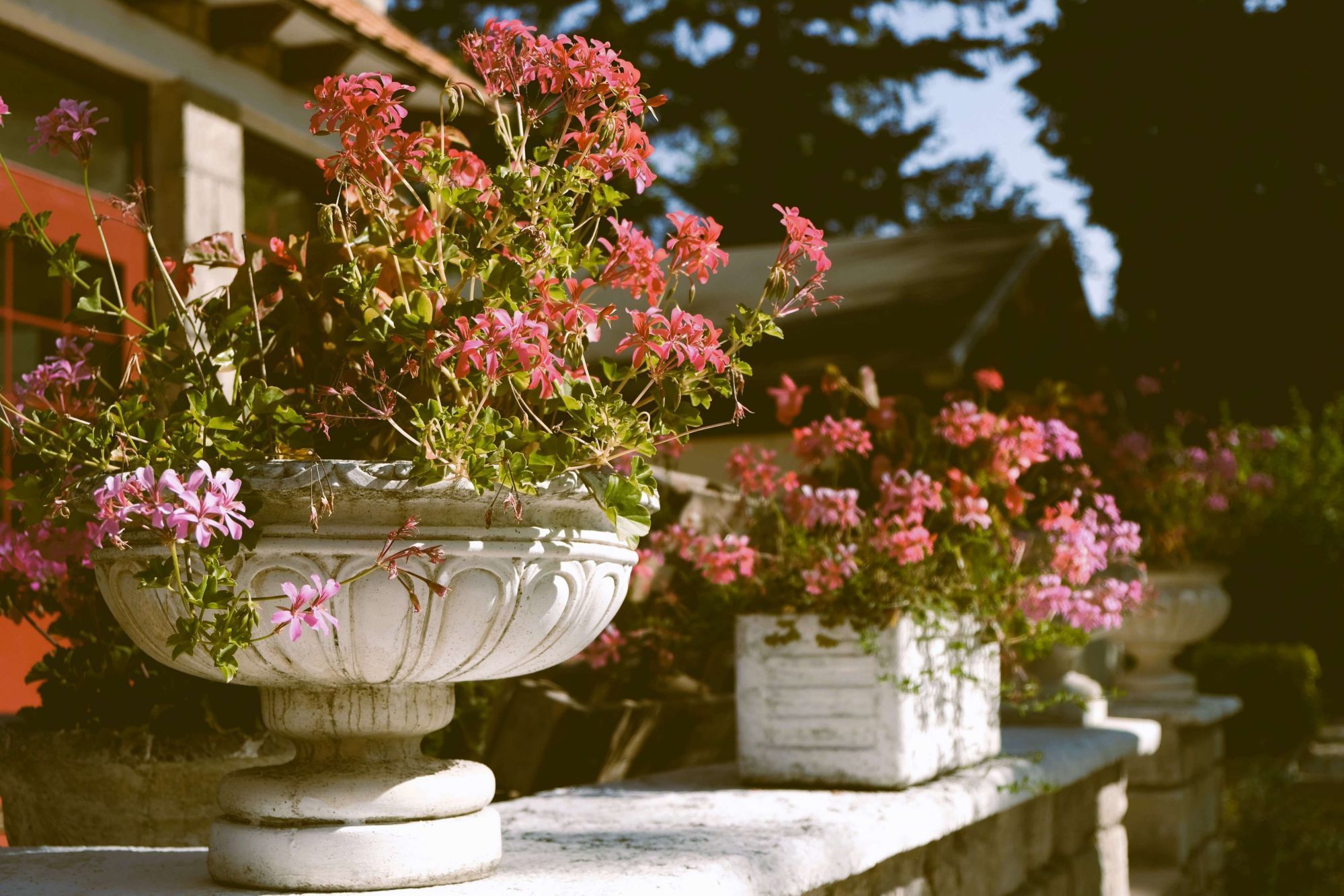 Hostellerie du Lys - Apartments in the heart of the Cottage