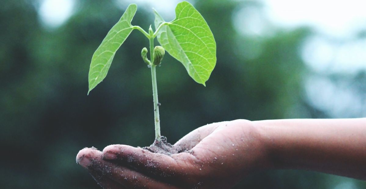 Responsable et durable